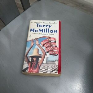 Terry McMillan Paperback Book
